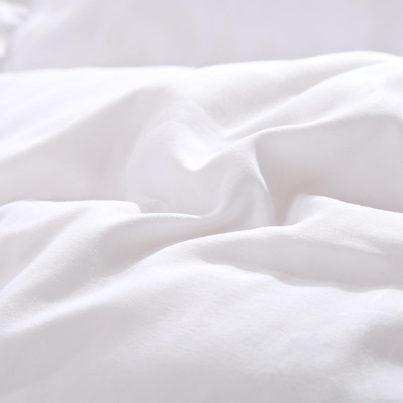 Goose Down Winter Blanket