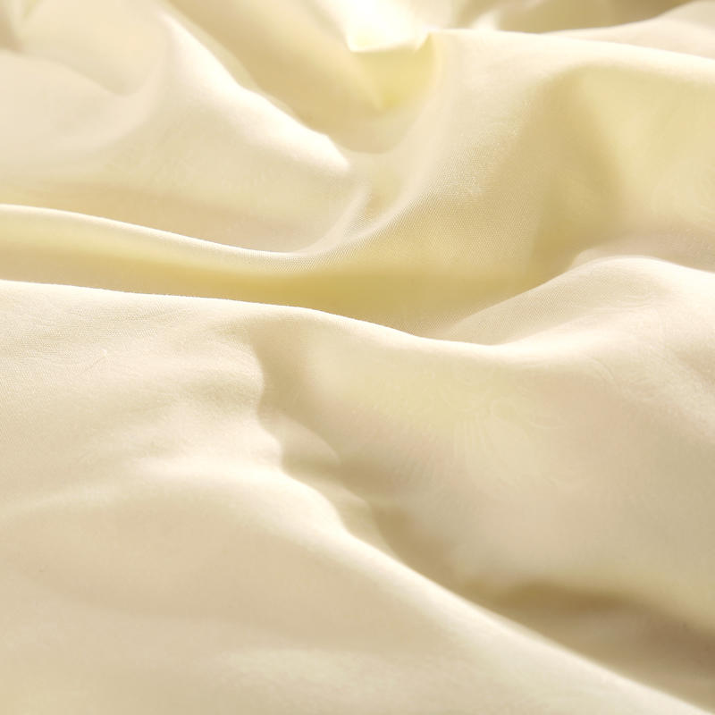 Goose Down Winter Blanket