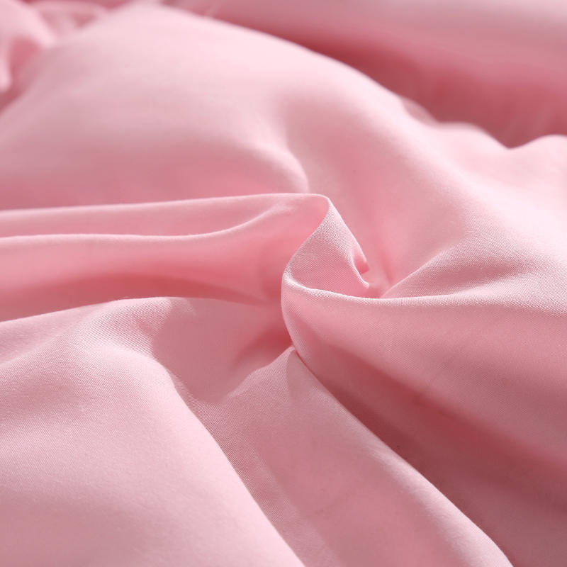 Goose Down Winter Blanket